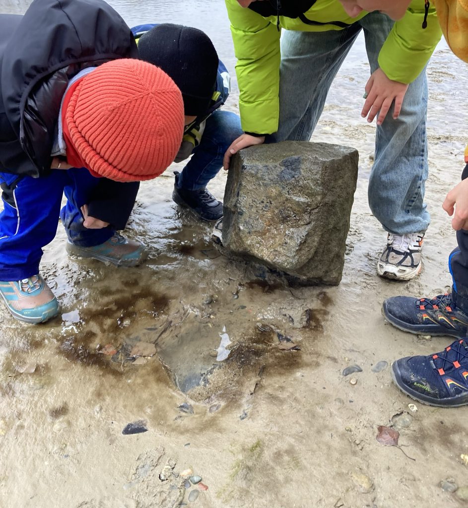 Draußentag am Rhein