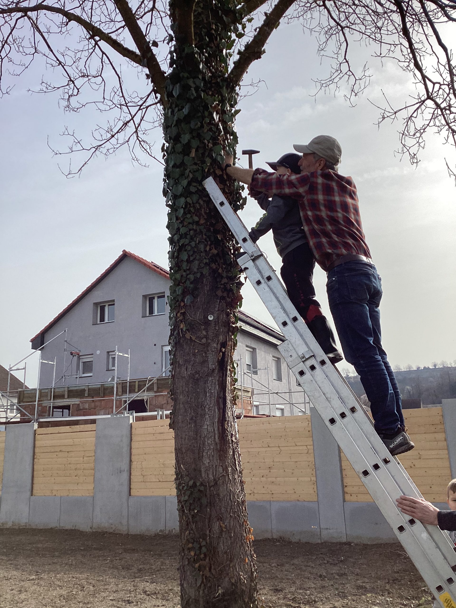 Anbringen der Nistkästen